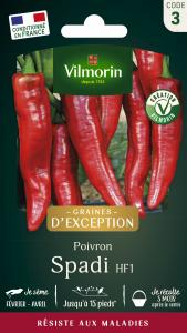 Poivron Doux Spadi HF1 - Graines d'Exception